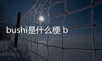 bushi是什么梗 bushi梗意思介绍